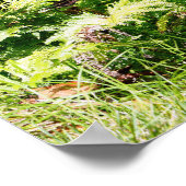 ハワイツリーポスター ポスター (角)