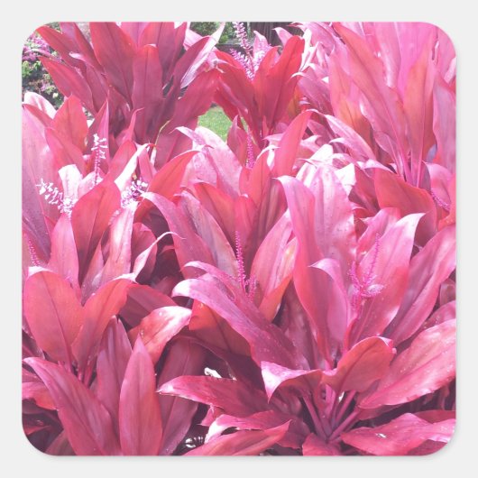 ハワイティ離れプラン スクエアシール (正面)