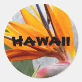 ハワイトロピカルバードオブパラダイスプラントフローラ ラウンドシール (正面)