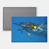 ハワイドルフィン諸島 マグネット (正面/裏面)