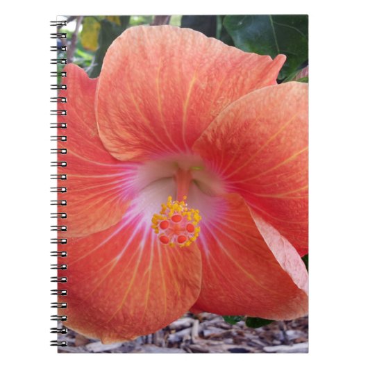 ハワイハイビスカスフラワーズ ノートブック (正面)