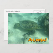 ハワイハガキからのウミガメ・アロハ ポストカード (正面/裏面)