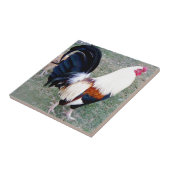 ハワイハナウマベイルースター タイル (側面)