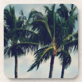 ハワイパームツリーズ コースター
