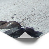 ハワイビーチシーンアドベンチャーポスター ポスター (角)