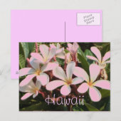 ハワイピンクプルメリア花葉書 ポストカード (正面/裏面)