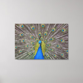 ハワイピーコック キャンバスプリント