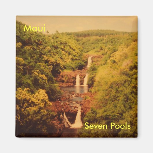 ハワイフラッジマグネット マグネット (正面)