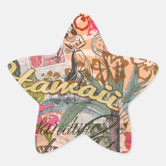 ハワイフラトラベルフラワーヴィンテージ 星シール (正面)