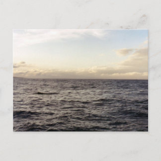 ハワイブルー ポストカード