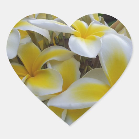 ハワイプルメリアの花 ハートシール (正面)
