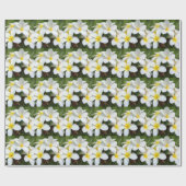 ハワイプルメリアの花 ラッピングペーパー (フラット)