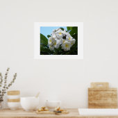 ハワイプルメリア ポスター (キッチン)