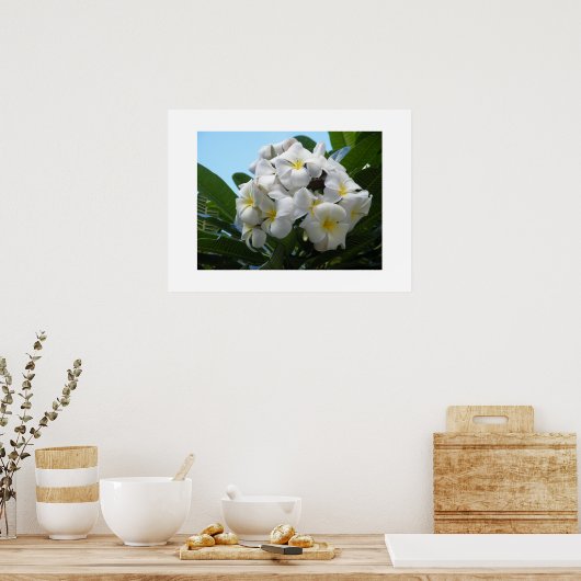 ハワイプルメリア ポスター (キッチン)