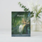 ハワイホワイトヘロン葉書 ポストカード (スタンド正面)