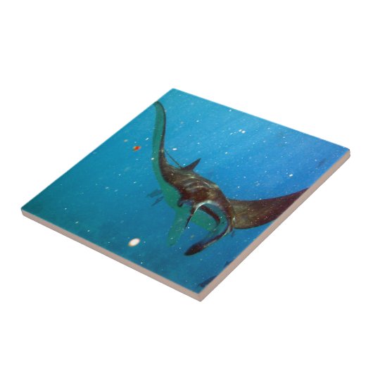 ハワイマンタレイ タイル (側面)