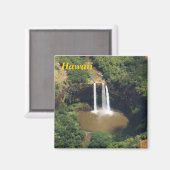 ハワイ冷蔵庫用マグネット マグネット (正面/裏面)