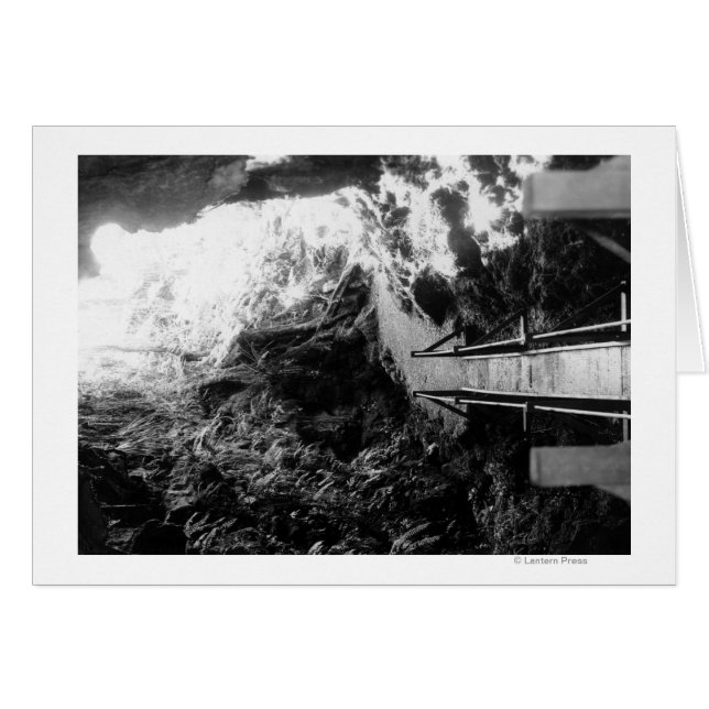 ハワイ国立公園、溶岩管のビュー (正面横)