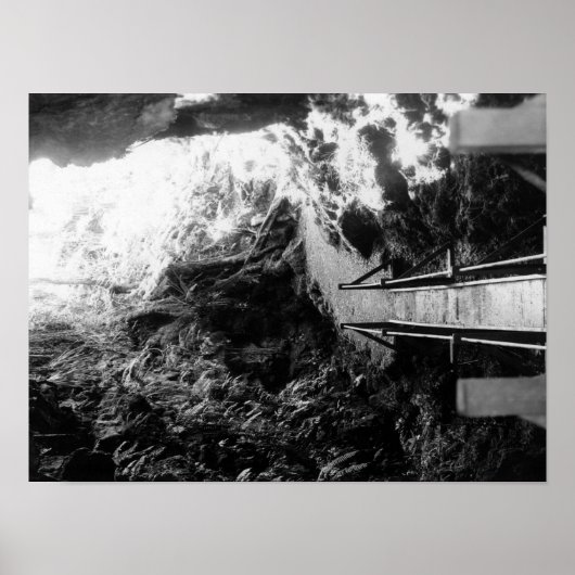 ハワイ国立公園、溶岩管のビュー ポスター (正面)