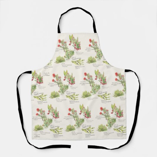 ハワイ島火山先住民プラントエプロン エプロン (正面)