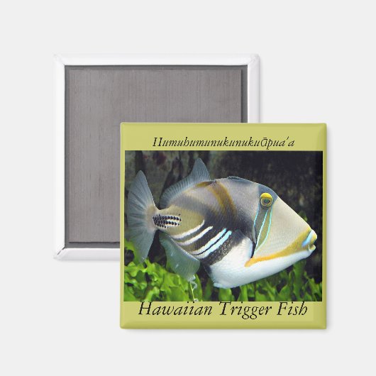 ハワイ州の魚 マグネット (正面/裏面)