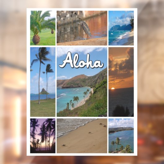 ハワイ州オアフの写真 ウィンドウサイン (シート2)