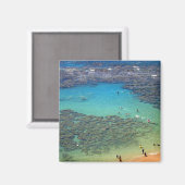 ハワイ州オアフの花馬湾のシュノークラーラー マグネット (正面/裏面)