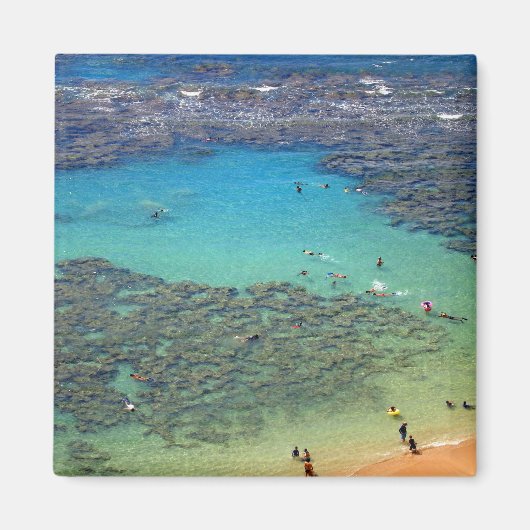 ハワイ州オアフの花馬湾のシュノークラーラー マグネット (正面)