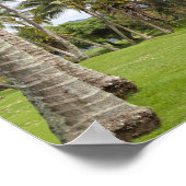 ハワイ州カウアイのポイプ湾にゴルフカート ポスター (角)