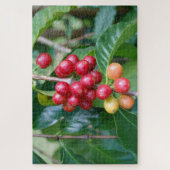 ハワイ州コナコーヒーさくらんぼの熟成 ジグソーパズル (縦)