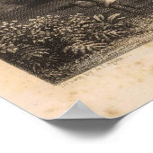 ハワイ州ハナペバレー ポスター (角)