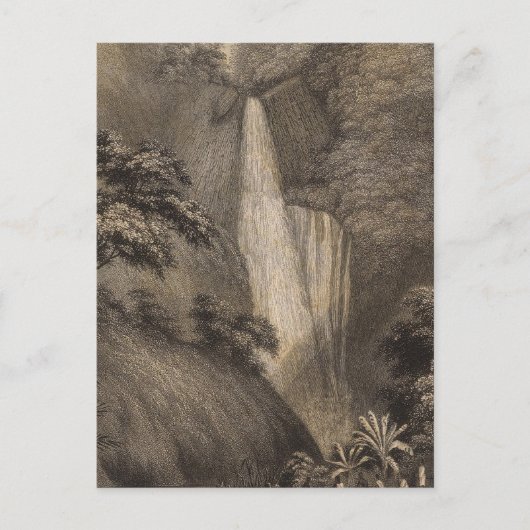 ハワイ州ハナペバレー ポストカード (正面)