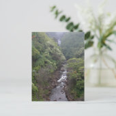 ハワイ州ヒロ近郊の川渓谷 ポストカード (スタンド正面)