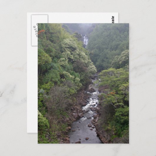 ハワイ州ヒロ近郊の川渓谷 ポストカード (正面/裏面)