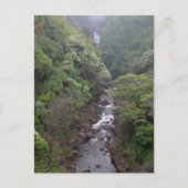 ハワイ州ヒロ近郊の川渓谷 ポストカード (正面)