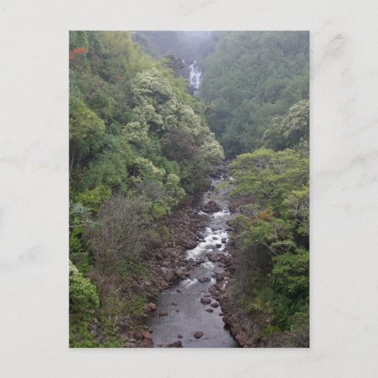 ハワイ州ヒロ近郊の川渓谷 ポストカード (正面)