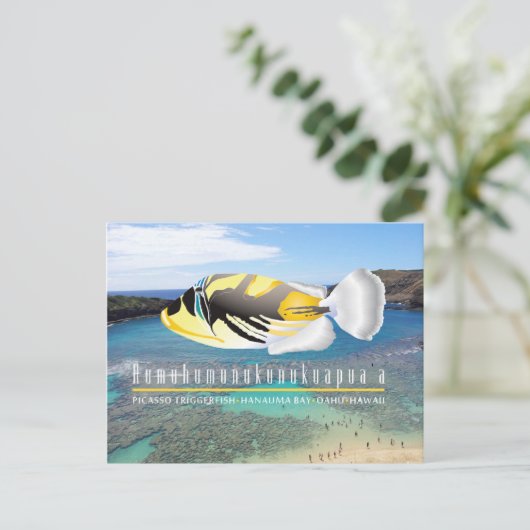 ハワイ州フィッシュフムフムヌクヌクアプア ポストカード (スタンド正面)