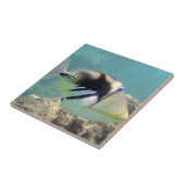 ハワイ州フィッシュ – フムフムヌクヌクアプア タイル (側面)