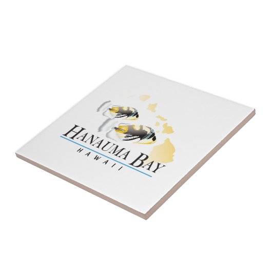 ハワイ州フィッシュ – フムフムヌクヌクアプア タイル (側面)