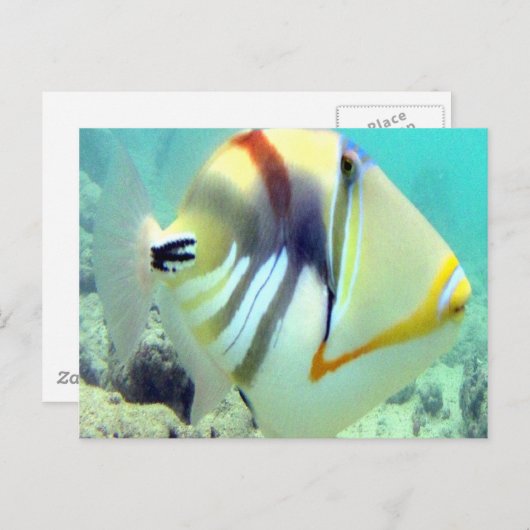 ハワイ州フィッシュ – フムフムヌクヌクアプア ポストカード (正面/裏面)