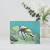 ハワイ州フィッシュ – フムフムヌクヌクアプア ポストカード (スタンド正面)