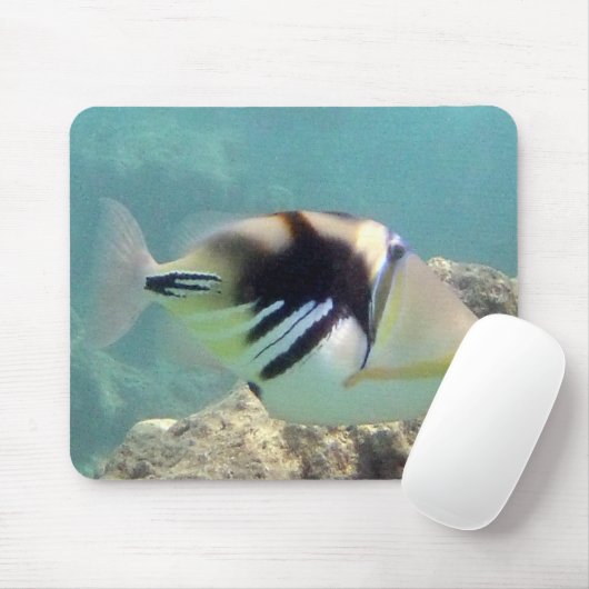 ハワイ州フィッシュ – フムフムヌクヌクアプア マウスパッド (マウス)