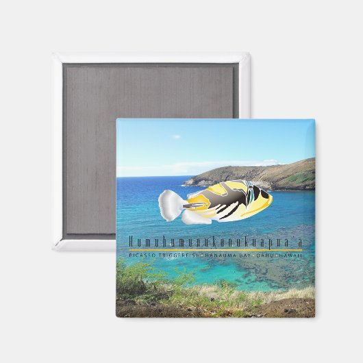 ハワイ州フィッシュ – フムフムヌクヌクアプア。 マグネット (正面/裏面)