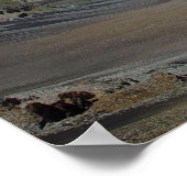 ハワイ州マウイ，ハレアカラ・クレーター ポスター (角)