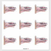 ハワイ州国旗 シール (シート)