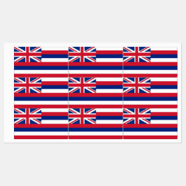 ハワイ州旗を持つ愛国的な州 ラベル