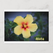 ハワイ州花とハワイのポストカード。 ポストカード (正面)