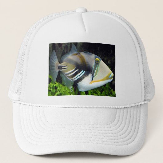 ハワイ州魚 キャップ (正面)