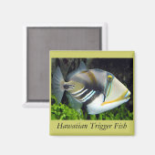 ハワイ州魚 マグネット (正面/裏面)