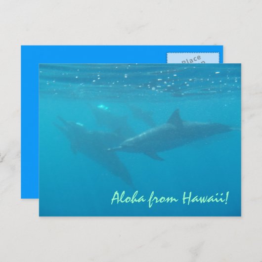 ハワイ挨拶の水中イルカ風景画はがき ポストカード (正面/裏面)